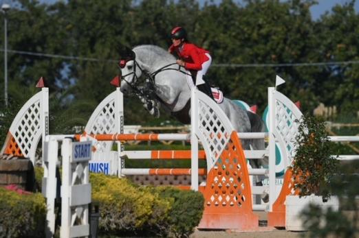 Foto: Deckhengst Hickstead White - Fotograf: Mag. Theresa Deisl