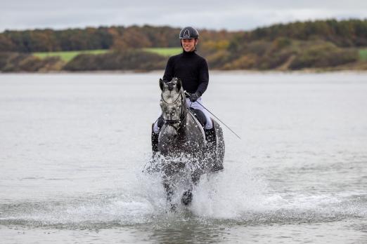 Foto: Kat.Nr. 43 Kronperle - Trakehner Leistungsadel mit Dressurtalenten und ein „Wind- und wasserfestes“ Interieur: Ein Juwel für Reiter und eine Kostbarkeit für die Zucht - Fotograf: Sigrun Wiecha
