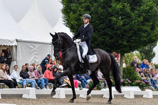 Foto: Der amtierende Landesmeister Felix Kneese und San Simeon OLD siegten in der Grand Prix Kür beim Dressurfestival Hof Norwegen - Fotograf: RathmannVerlag/Malina Blunck
