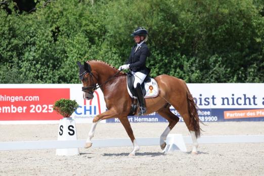 Foto: Next Dancer C v. FS Next Diamond / Geronimo B (Z./B.: Myriam Charar) Landeschampion der 3j. Reitponys unter Michele Schulmerig - Fotograf: Doris Matthaes