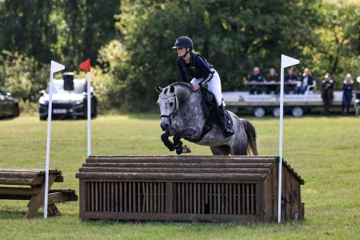 Foto: Als erste Landeschampionesse der Geländeponys darf morgen Donna Vincenza W unter Julia Wiechmann aufmarschieren und ihre Schärpe entgegennehmen - Fotograf: Photo Rocket