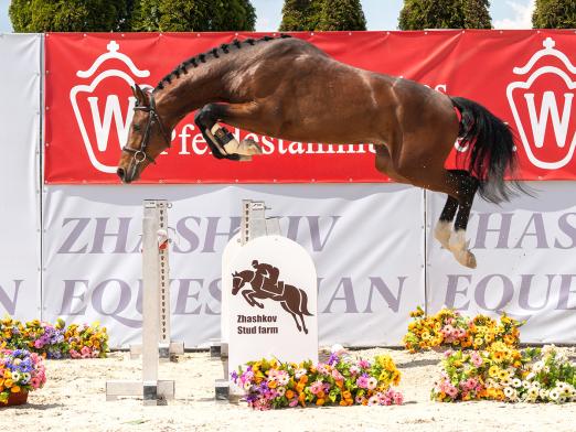 Foto: Preisspitze der Online-Auktion: Chuck Norris v. Cornet Obolensky - Fotograf: Reckimedia