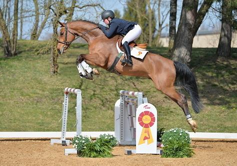 Foto: Kat-Nr. 27 – Chrysopras v. Cascari – Brandenburger / Wallach, *2009 - Fotograf: Hubert Fischer