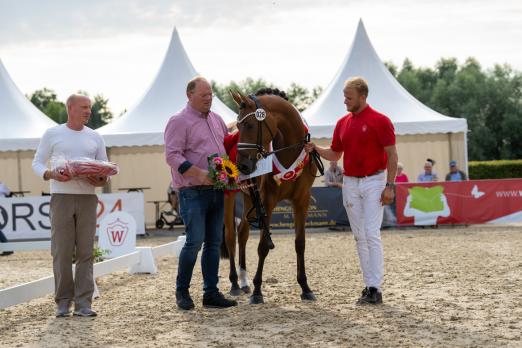 Foto: Baroness Sieger Dressur - Fotograf: Reckimedia