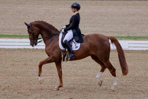 Foto: Isabell Werth auf Bella Rose - Fotograf: Sportfotos Lafrentz.