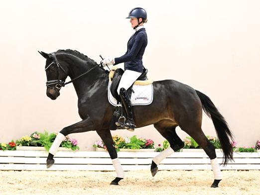 Foto: Lot 2: OLHPr.A Charleen v. Total McLaren - Fürst Romancier - Fotograf: © OLD-Art