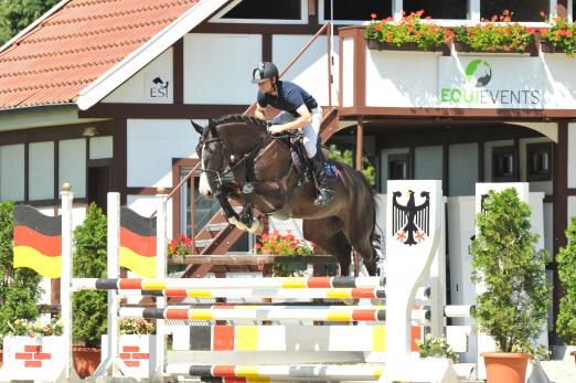 Foto: Katalognr. 46 Balou Calida von Balou du Rouet-Calido I - Fotograf: Kiki Beelitz