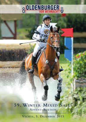 Foto: Titelheld Hale Bob, Mannschaftseuropameister in der Vielseitigkeit unter Ingrid Klimke, wurde auf der Winter Mixed Sales 2006 in Vechta entdeckt - Fotograf: Lafrentz