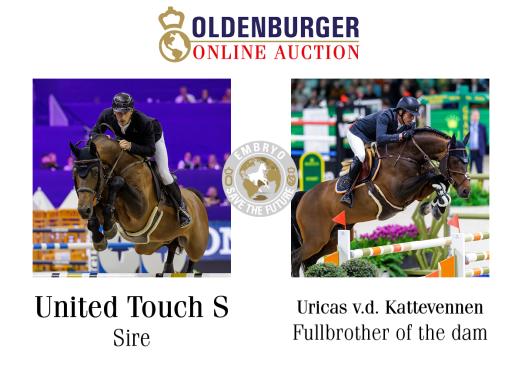 Foto: Preispitze Embryo v. United Touch S. - Uricas - Fotograf: © www.sportfotos-lafrentz.de / Stefan Lafrentz) Foto: Preispitze Embryo v. United Touch S. - Uricas - Fotograf: © www.sportfotos-lafrentz.de / Stefan Lafrentz)