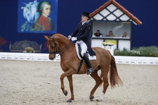 Foto: Frederic Wandres & Duke of Britain in der Louisdor-Preis-Qualifikation bei Horses & Dreams - Fotograf: Stefan Lafrentz