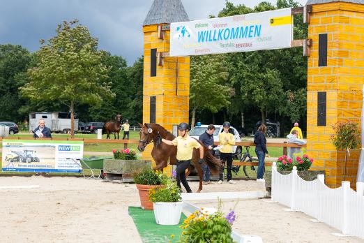 Foto: Herzlich willkommen bei der Herwart von der Decken-Schau - Fotograf: Hannoveraner Verband