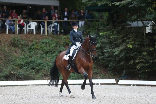 Foto: Ist beim 71. Landesturnier in Bad Segeberg im Dressurviereck wieder dabei: Friederike Hahn, hier mit Frizzanto - Fotograf: Tierfotografie Huber