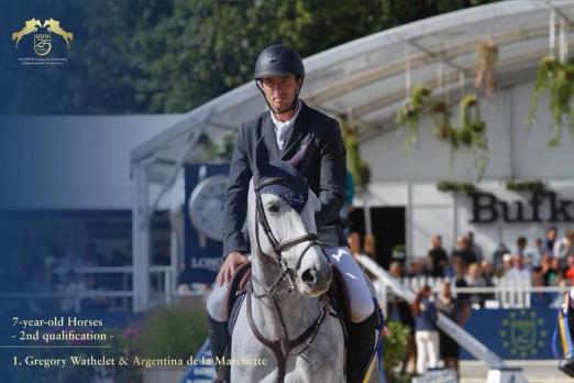 Foto: Studbook Zangersheide