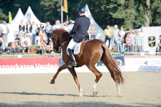 Foto: Michael George Eilberg und Woodlander Farouche - Fotograf: Karl-Heinz Frieler