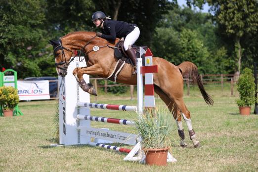 Foto: Traumnote 9,0! Damit gewann Charia Petersen mit ihrem Pferd Best of Balou die 95er-Hunterklasse bei der Balios-Etappe in Hanerau-Hardemarschen - Fotograf: Photo Rocket