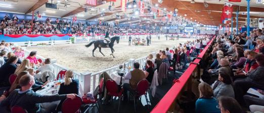 Foto: Am 5. und 6. April begeistern die Pferde der 90. Frühjahrs Elite-Auktion und 8. Oldenburger Sattelkörung im Oldenburger Pferde Zentrum Vechta - Fotograf: Eggen