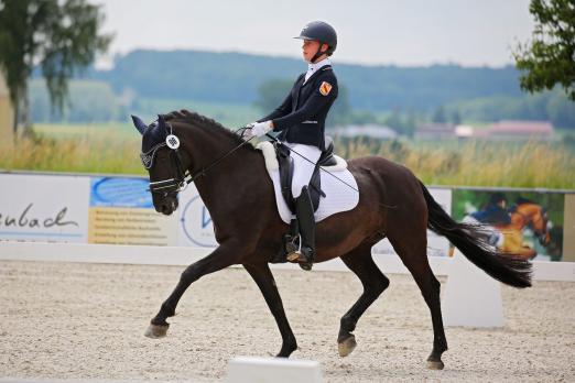 Foto: Ponysport beim RFV Rot am See - Fotograf: Frau Silke Klewitz-Seemann Fotoagentur Dill