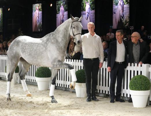 Foto: Spitzenpreispferd Dior scheint seinem neuen Besitzer Ulli Horch (rechts) genauso zu gratulieren wie auch Holger Hetzel (mitte) - Fotograf: Hartwig 