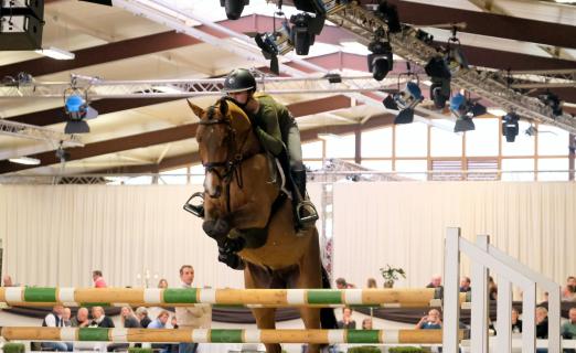 Foto: Sichtbar wohl fühlte sich diese junge Dame am vergangenen Sonntag beim Ausprobieren der Auktionspferde - Fotograf: T. Hartwig