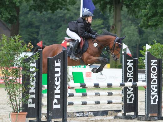 Foto: Westfalen-Champion der fünfjährigen Springponys: Cing Cong v. Cornet Obolensky - Fotograf: Thomas Hartwig
