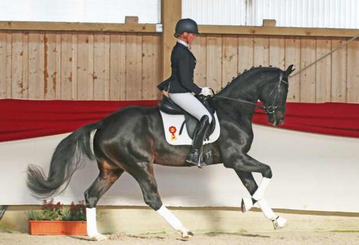 Foto: Faboulous Boy - Fotograf: Carola Knoll