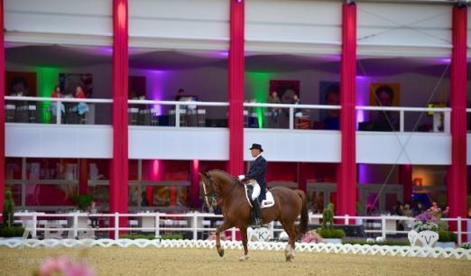 Foto: Matthias Kempkes (GER) bescherte seinem Vater mit dem Sieg im CDI4* Grand Prix Special ein verfrühtes Geburtstagsgeschenk zum morgigen 80er. - Fotograf: Arnd Bronkhorst