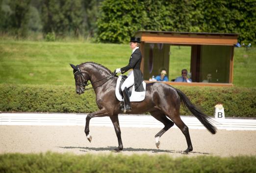 Foto: Kira Wulferding und Soiree d’Amour qualifizieren sich mit 76,610 Prozent für das Finale des NÜRNBERGER BURG-POKAL. - Fotograf: Nadine Harms