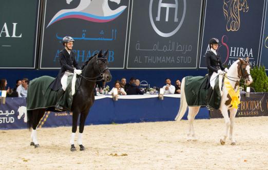 Foto: Züchterisch sind der All Nations Cup und das Nationale Championat Arabischer Pferde in Aachen ebenso ein Glanzlicht wie der Sport, u.a. in der Dressur, Springen und Westerndisziplinen - Fotograf: S. Hahn