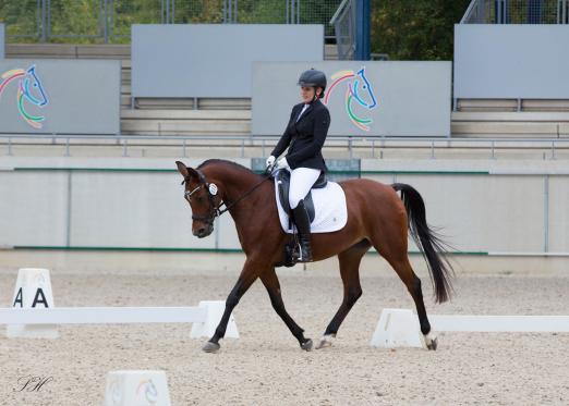 Foto: Vielseitige Sport- und Freizeitpartner - ob in der Dressur hier beim ANC-Turnier in Aachen - oder im Western- und Distanzsport. Der VZAP e.V. hat seine Jahresplanung bekannt gegeben - Fotograf: Sirid Hahn