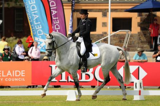 Foto: Australia’s Shane Rose, seen here with overnight leader CP Qualified, is in first and third after Dressage at Adelaide (AUS), second leg of the FEI Classics™ 2013/2014 series. - Fotograf: Julie Wilson/FEI