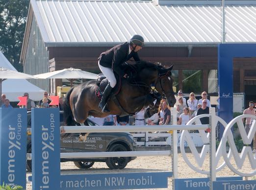 Foto: Sahnte 2024 den Finalsieg beim Tiemeyer x Hetzel Young Horse Masters ab: der inzwischen neun Jahre alte F One`s Son FM mit dem Schweizer Alain Jufer - Fotograf: Thomas Hartwig