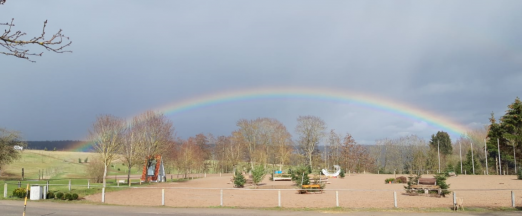 Foto: Der Altensteiger Sandplatz - Fotograf: Reitschule Rau