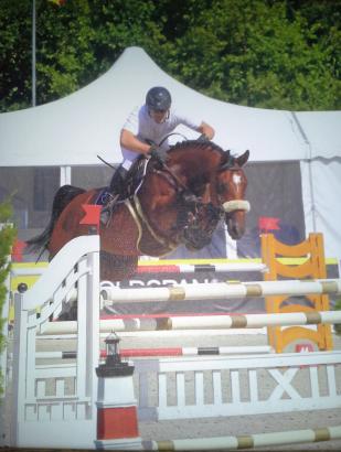 Foto: Arunna unter Benjamin Wulschner, Groß Viegeln 2016 - Fotograf: hippothek.de Franz Wego