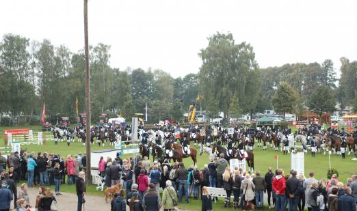 Foto: Mehr als 1200 Pferde und über 700 Reiterinnen und Reiter - ein großer Teil davon in den Landeswettkämpfen der Reitabteilungen - werden beim 71. Landesturnier in Bad Segeberg erwartet - Fotograf: Tierfotografie Huber