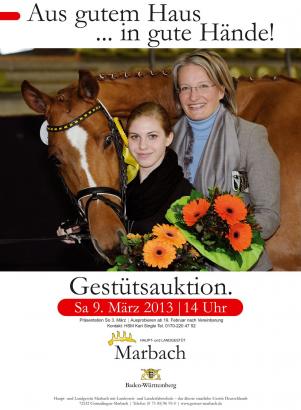 Foto: Gestütsauktion in Marbach: Zufriedene Pferde, glückliche Käufer - Fotograf: Schreiner