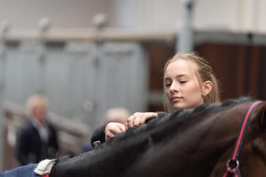 Foto: Werde Teil der Vechtaer Auktion - Fotograf: Eggen