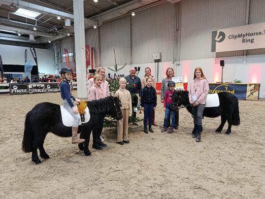 Foto: Der Reit- und Fahrverein Fürstenau e. V. wurde als fünfter Leuchtturmbetrieb des Projekts „Bundesweite Leuchttürme“ ausgezeichnet - Fotograf: Pferde für unsre Kinder (PfuK)