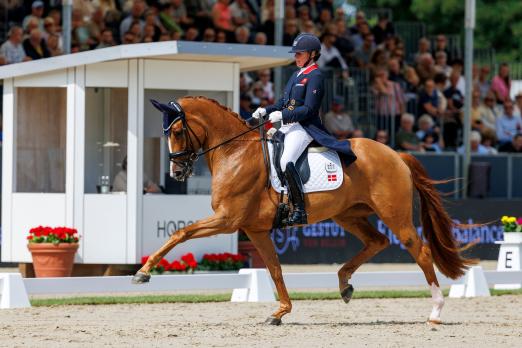Foto: Vor der vollbesetzten Tribüne gewannen Quinn G. und Fiona Bigwood im vergangenen Jahr Gold bei den siebenjährigen Dressurpferden - Fotograf: Lafrentz
