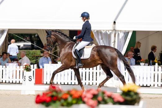 Foto: Hannoveraner Championesse Barbor BS wurde mit Sina Aringer in Warendorf Bundeschampionesse der dreijährigen Stuten und Wallache - Fotograf: Hannoveraner Verband