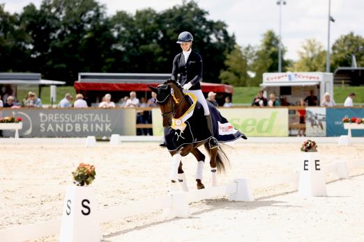 Foto: Hannoveraner Champion der dreijährigen Stuten und Wallache: Barbor BS und Sina Aringer - Fotograf: Hannoveraner Verband