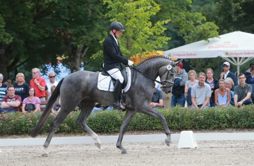 Foto: DSP-Reitpferdechampionesse 2019 und DSP-Stute des Jahres 2020, Barbora von Belantis - Fotograf: Plaf Krenz