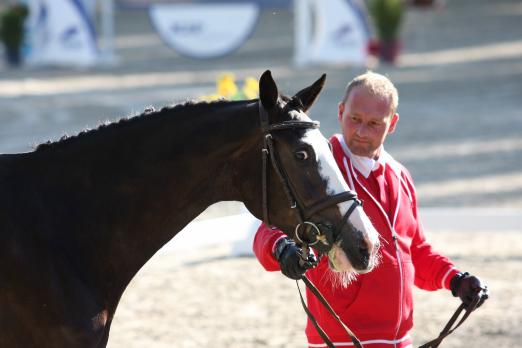 Foto: Barmenia (Casall x Nekton) - Fotograf: Krisztian Buthi