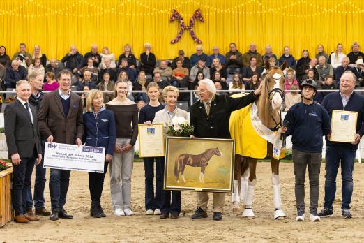 Foto: Hannoveraner Hengst des Jahres: Benicio v. Belissmo M/Velten Third - Fotograf: Hannoveraner Verband Foto: Hannoveraner Hengst des Jahres: Benicio v. Belissmo M/Velten Third - Fotograf: Hannoveraner Verband