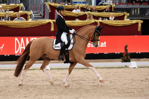 Foto: Benjamin Werndl und Quick Decision - Sieger AMADEUS DRESSAGE CDI3* GRAND PRIX - Fotograf: Pictures by Helen