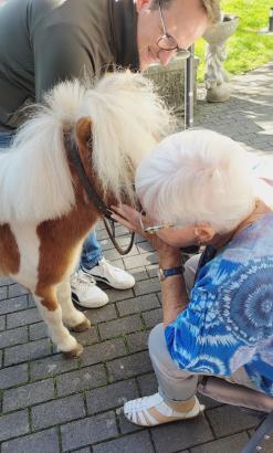 Pferdebesuch im Seniorenheim: spoga-horse-Direktor Bernd Voss (links) besuchte während der Aktionswoche Vielfalt Pferd mit seinen Ponys eine Senioreneinrichtung. Solche Begegnungen berühren und zeigen, was Pferde für Menschen jeden Alters bedeuten können. - Fotograf: Vielfalt Pferd e.V. Pferdebesuch im Seniorenheim: spoga-horse-Direktor Bernd Voss (links) besuchte während der Aktionswoche Vielfalt Pferd mit seinen Ponys eine Senioreneinrichtung. Solche Begegnungen berühren und zeigen, was Pferde für Menschen jeden Alters bedeuten können. - Fotograf: Vielfalt Pferd e.V.