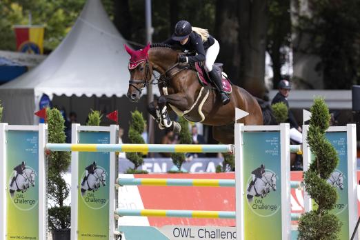 Foto: Beste Reitsportbedingungen bei der OWL Challenge vom 7.-10. September auf dem Paderborner Schützenplatz - Fotograf: Reitsport-Hellmann.de