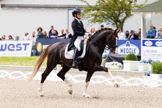 Foto: Bianca Nowag-Aulenbrock und Sky haben alles gewonnen in Balve - Qualifikation und Finalqualifikation zum Nürnberger Burg-Pokal und den uvex-Stilpreis - Fotograf: Thomas Hellmann Foto: Bianca Nowag-Aulenbrock und Sky haben alles gewonnen in Balve - Qualifikation und Finalqualifikation zum Nürnberger Burg-Pokal und den uvex-Stilpreis - Fotograf: Thomas Hellmann
