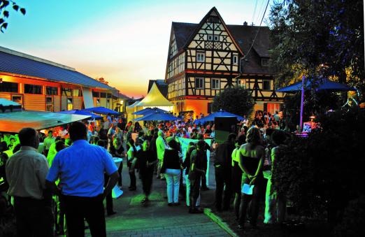 Foto: 60 Jahre Gestüt Birkhof - das wird gefeiert vom 28. - 31. Juli 2022 - Fotograf: Gestüt Birkhof