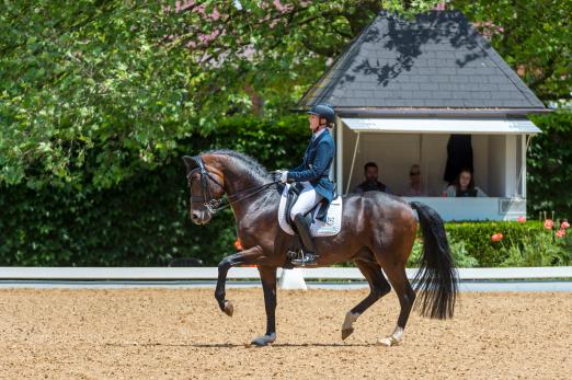Foto: Birkhof’s Topas FBW unter Nicole Casper - Fotograf: Tanja Becker