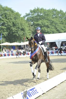 Foto: Biscaya OLD v. Bordeaux-Quattro B brillierte als beste dreijährige Stute Deutschlands. Nun bereichert sie die Kollektion der Vechtaer Herbst-Elite-Auktion. - Fotograf: Beelitz